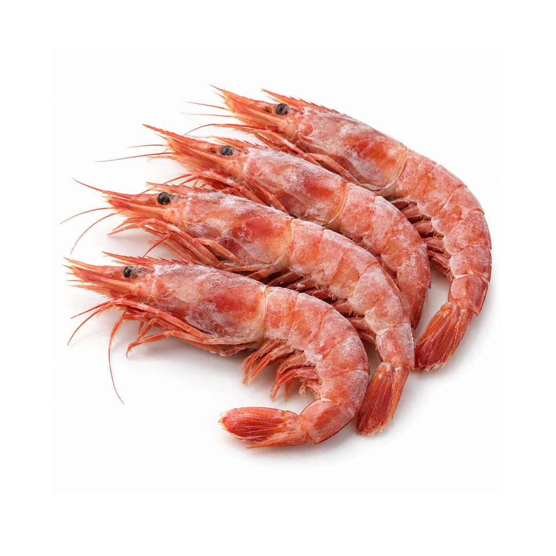 Argentine Red Shrimp
