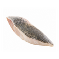 Barramundi