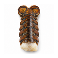 Boston Lobster Tail in Shell