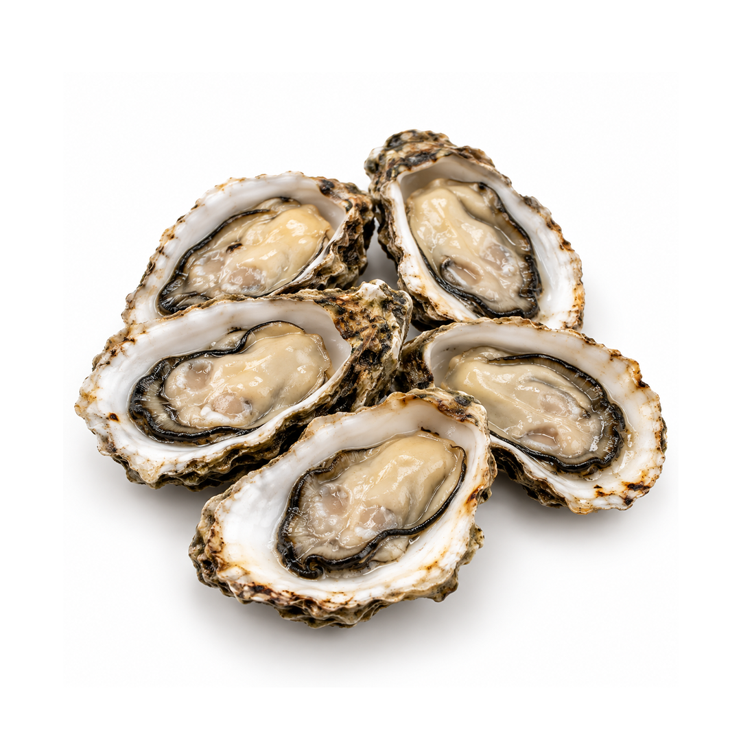 Cooked Half Shell Oyster