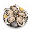 Sashimi Grade Oysters