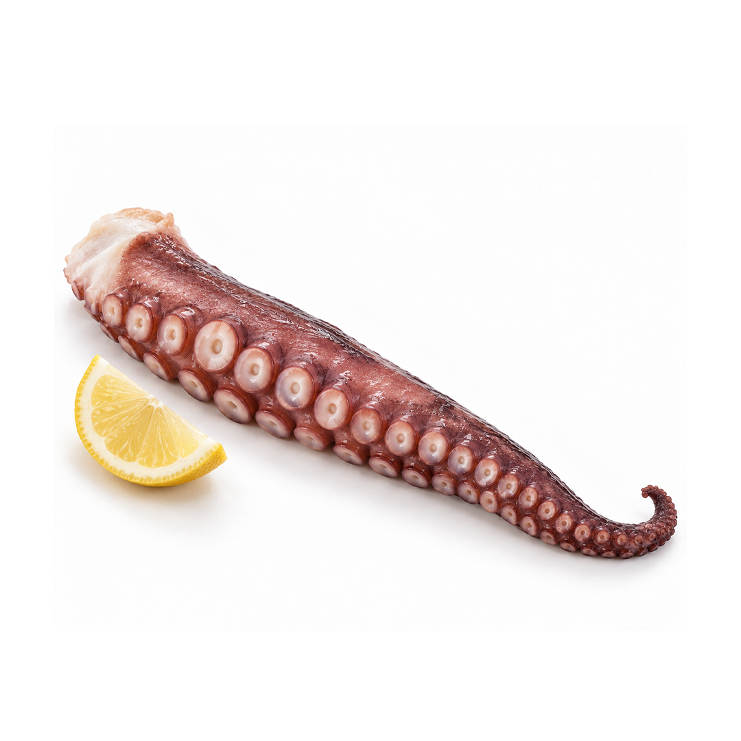 Spanish Frozen Octopus Leg